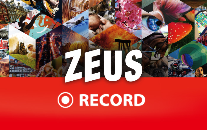 1432円 最大80％オフ！ gemsoft GG-Z002-WC メール便での発送商品 ZEUS RECORD 録画万能〜PC画面をビデオ録画 カード版 GGZ002WC