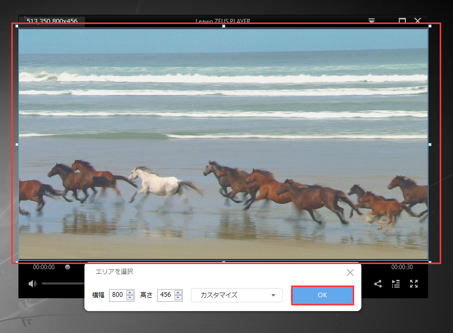 ZEUS BUNDLE,windows 画面録画,動画録画,動画の再生画面を選択